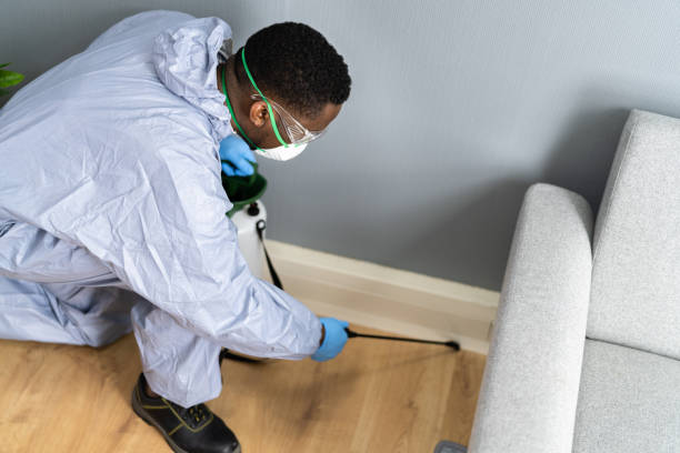 Emergency Pest Control Services in Zephyrhills North, FL